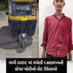 વાપી GIDCમાંથી રૂ.1.80 લાખની તાંબાની ચોરીનો ભેદ ઉકેલાયો, 23 વર્ષીય આરોપી ઝડપાયો